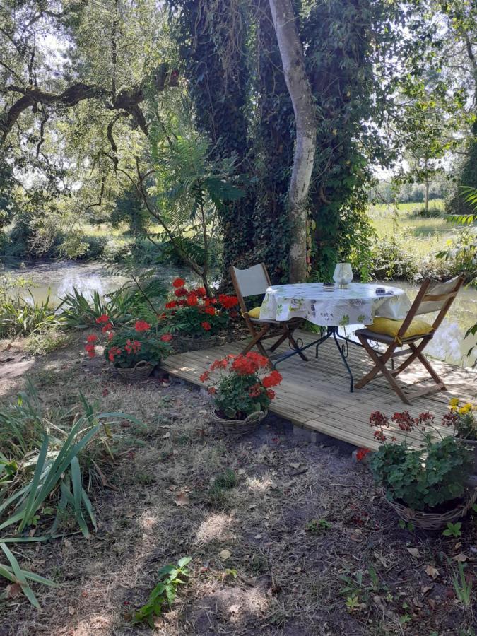 Gite " Jardin Peyrona" Visite Zoo Beauval Et Chateaux De Loire Beaulieu-les-Loches Luaran gambar