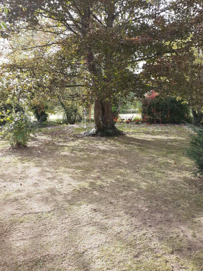 Gite " Jardin Peyrona" Visite Zoo Beauval Et Chateaux De Loire Beaulieu-les-Loches Luaran gambar