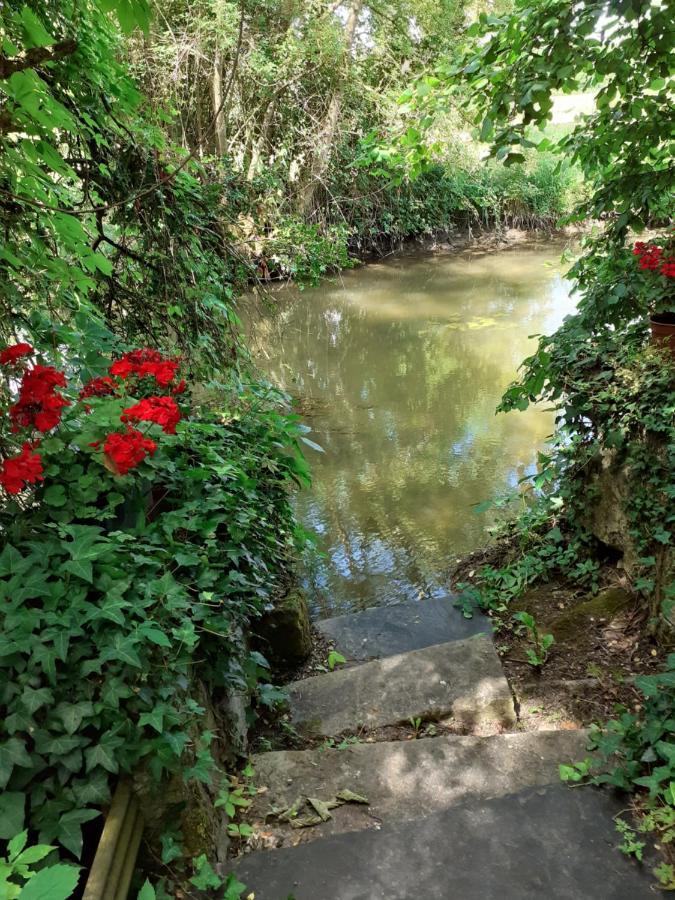 Gite " Jardin Peyrona" Visite Zoo Beauval Et Chateaux De Loire Beaulieu-les-Loches Luaran gambar