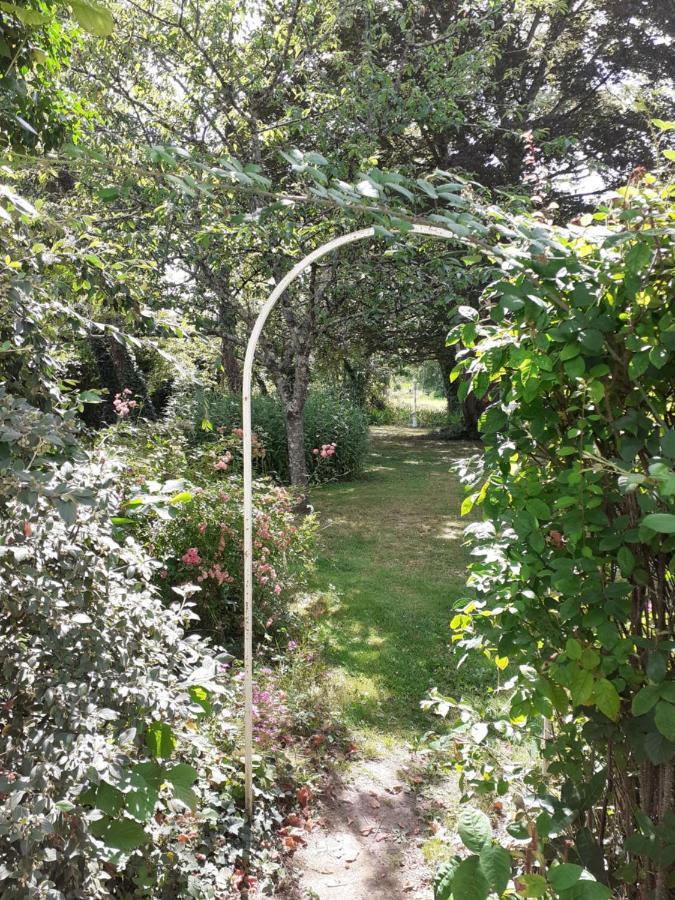 Gite " Jardin Peyrona" Visite Zoo Beauval Et Chateaux De Loire Beaulieu-les-Loches Luaran gambar