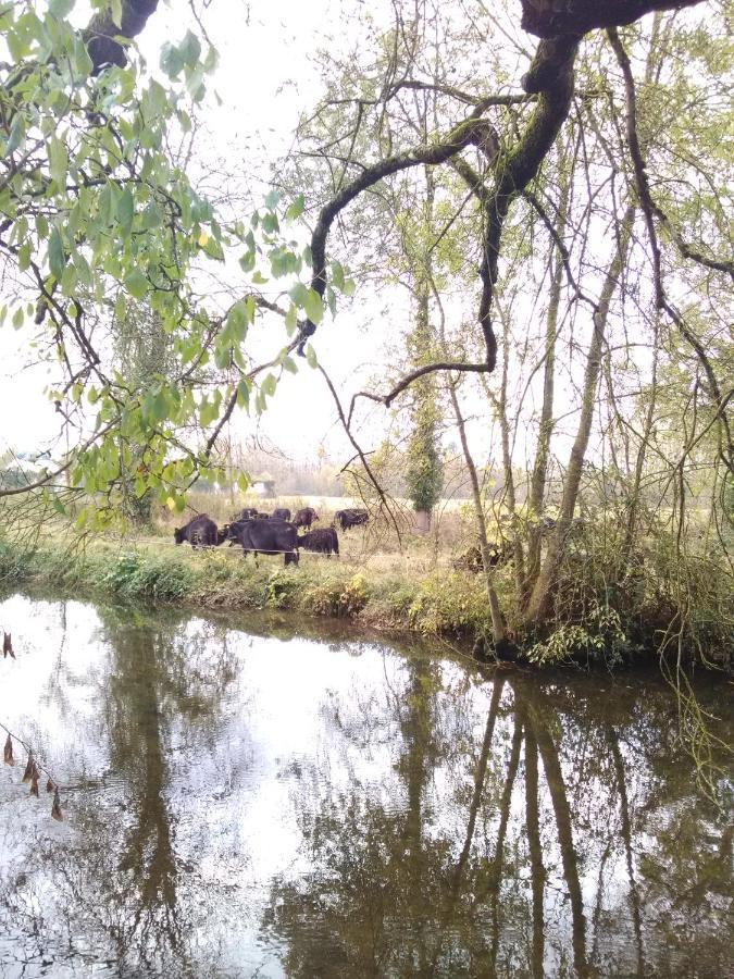 Gite " Jardin Peyrona" Visite Zoo Beauval Et Chateaux De Loire Beaulieu-les-Loches Luaran gambar