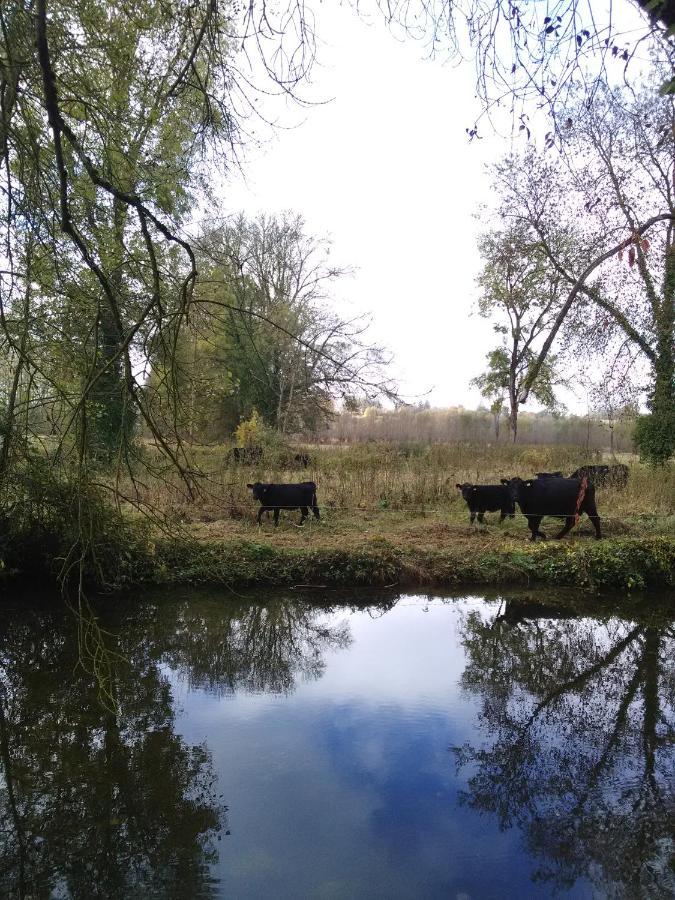 Gite " Jardin Peyrona" Visite Zoo Beauval Et Chateaux De Loire Beaulieu-les-Loches Luaran gambar